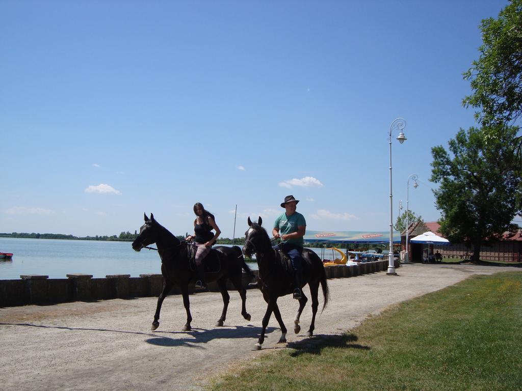 Vila Madams - Palic-Serbia Екстер'єр фото