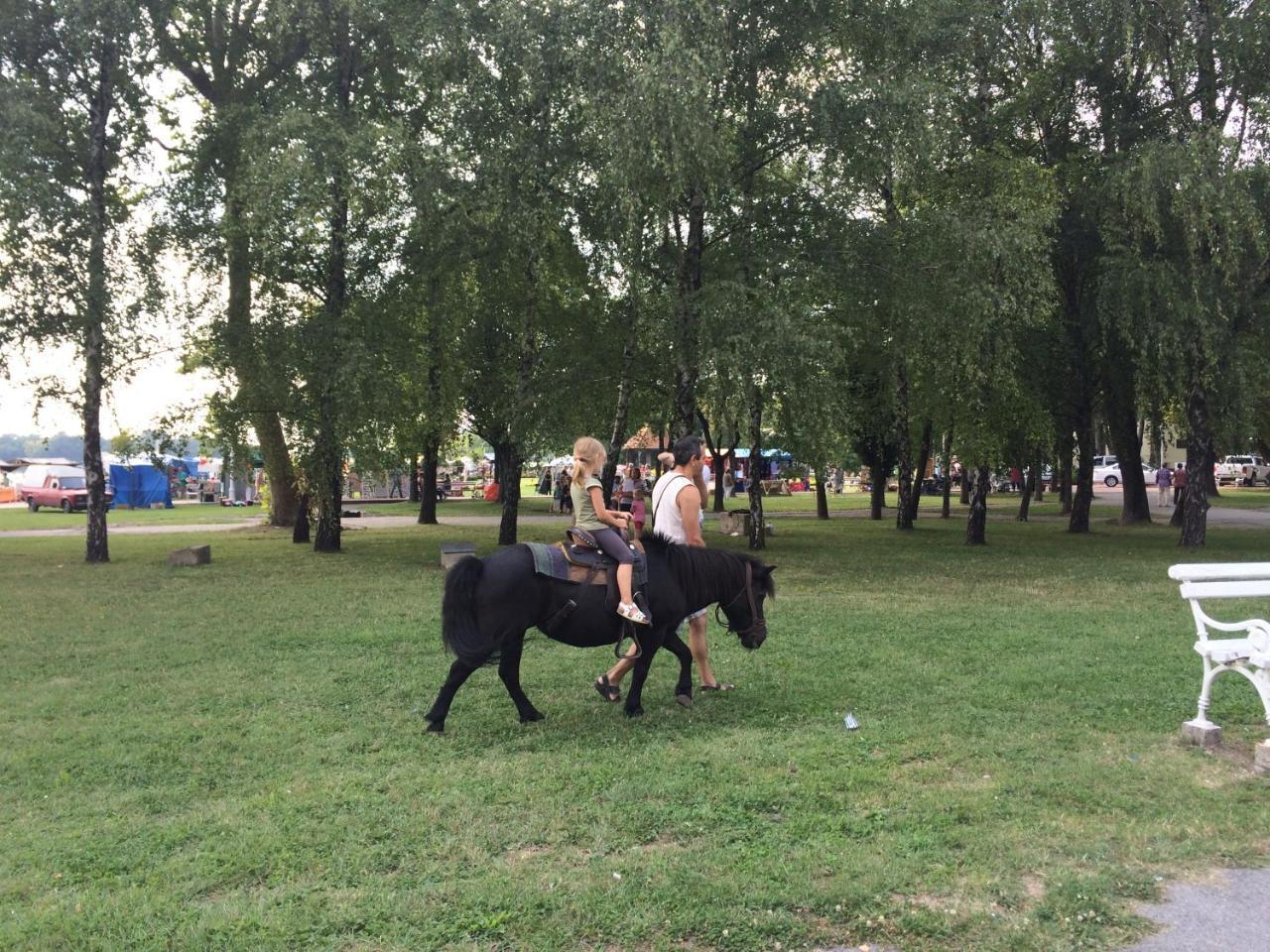 Vila Madams - Palic-Serbia Екстер'єр фото